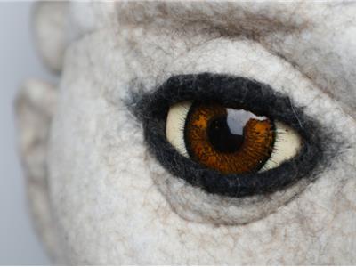 Detail Gladys Paulus